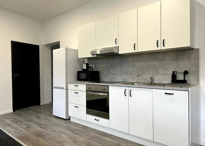 Breza House Appartamento Zlín